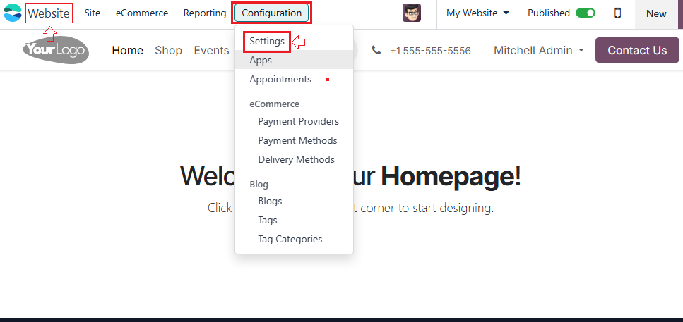 Odoo Configuration Settings